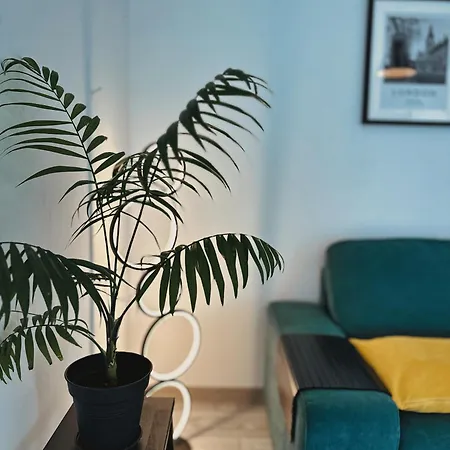 Neo Patru - Un Dormitor - Free Parking