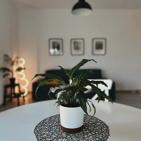 Neo Patru - Un Dormitor - Free Parking