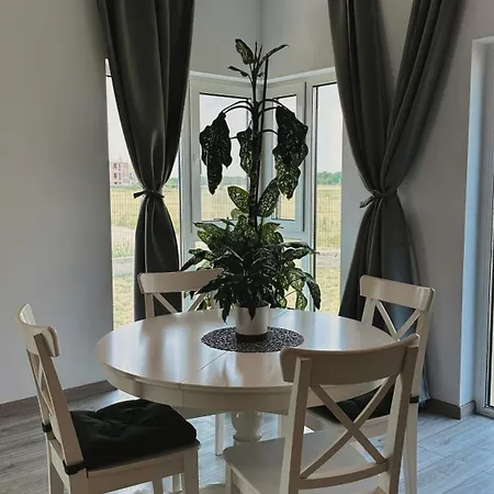 Neo Patru - Un Dormitor - Free Parking Тимишоара