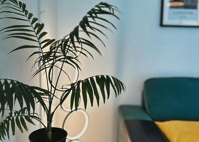 Neo Patru - Un Dormitor - Free Parking