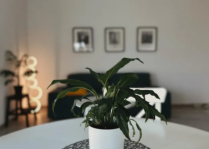 Neo Patru - Un Dormitor - Free Parking