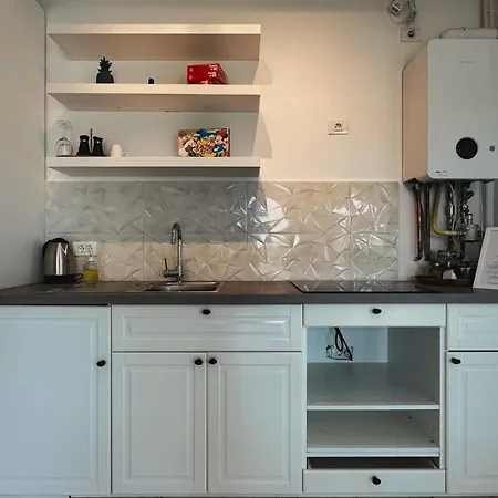 Apartment Neo Patru - Un Dormitor - Free Parking Timişoara
